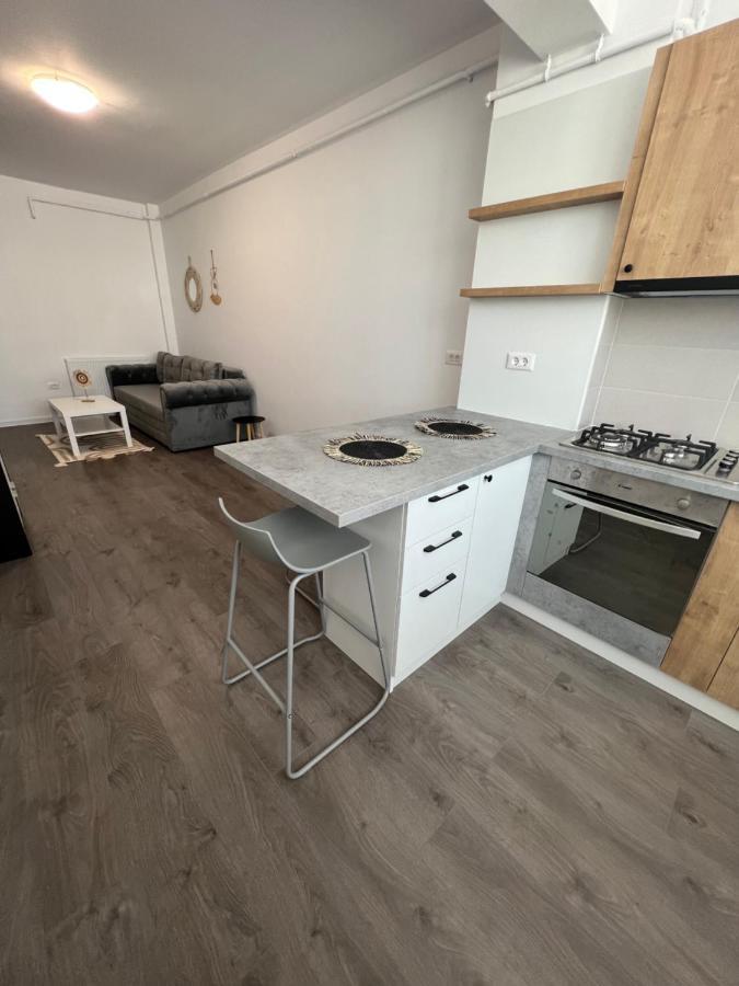 Sunny Apartments Suceava 64 Esterno foto